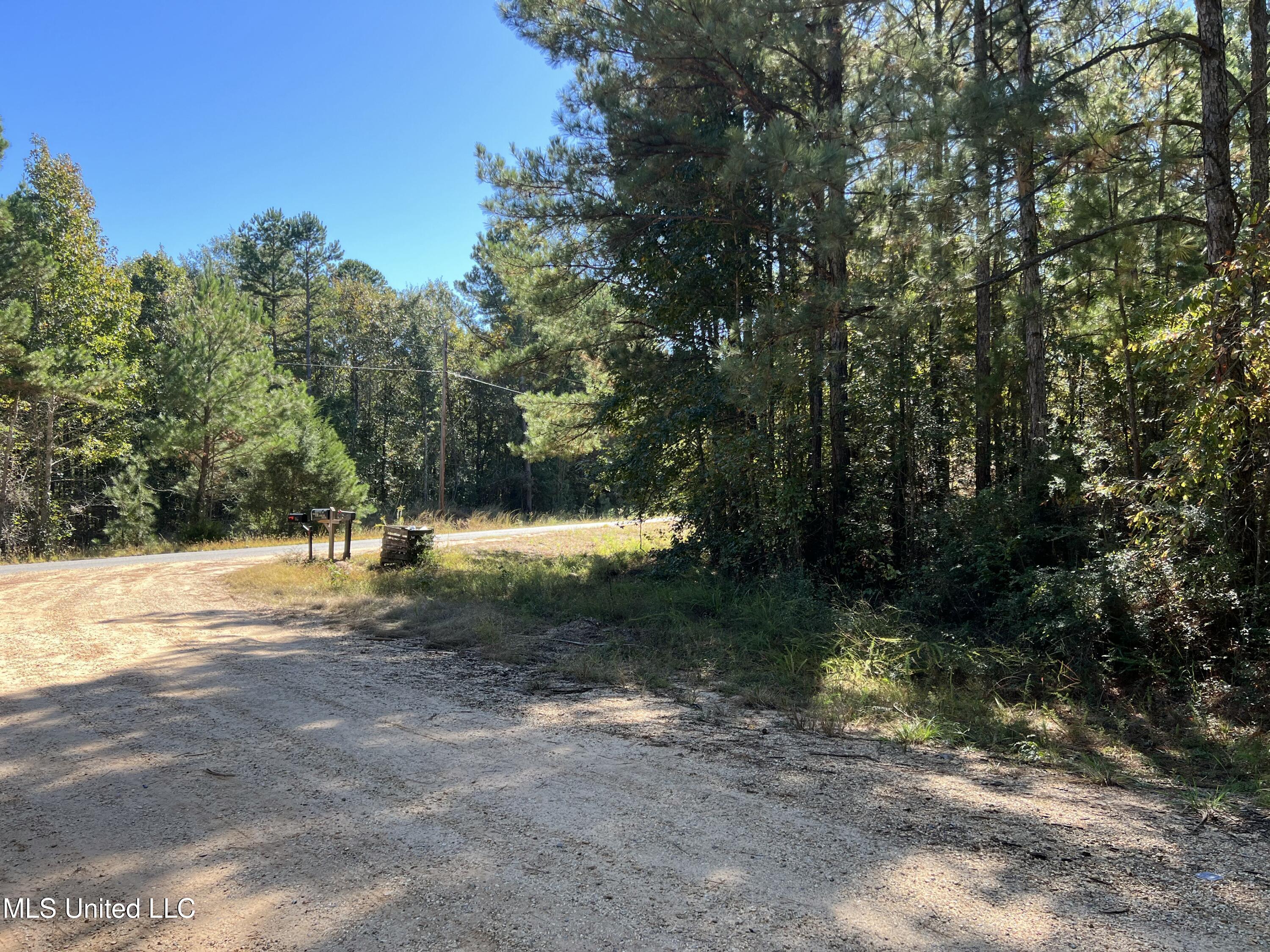 0 County Road 39 Paulding, MS 39348 - Photo 5 of 14 IMG_6221