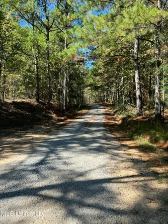 $99,700 | 0 County Road 39, Paulding, MS 39348
