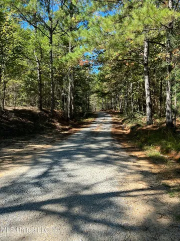$99,700 | 0 County Road 39, Paulding, MS 39348