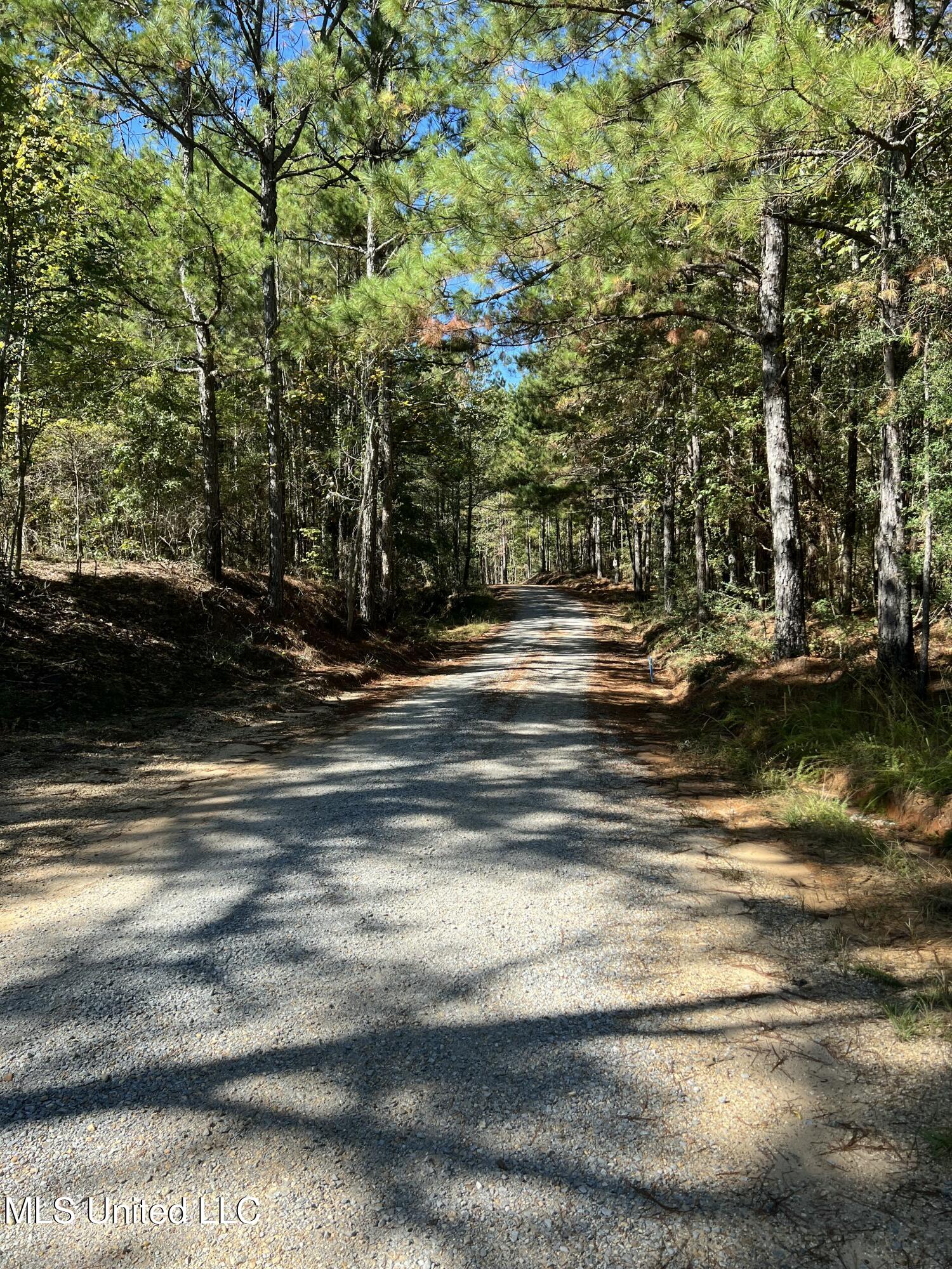 0 County Road 39 Paulding, MS 39348 - Photo 6 of 14 IMG_6222