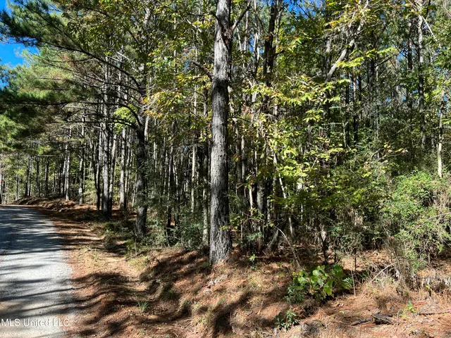 $99,700 | 0 County Road 39, Paulding, MS 39348