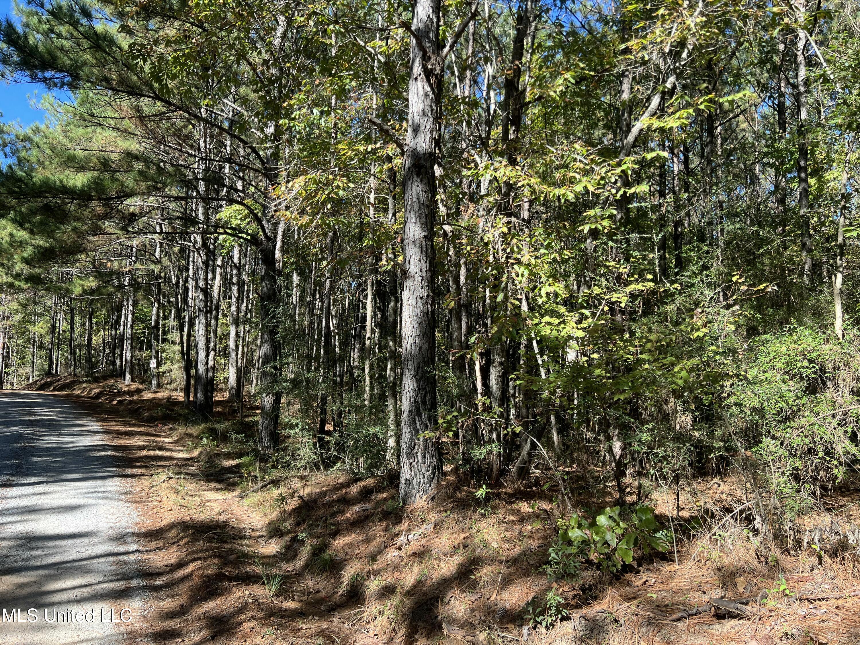 0 County Road 39 Paulding, MS 39348 - Photo 7 of 14 IMG_6223