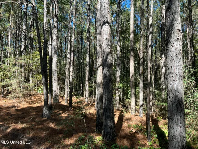 $99,700 | 0 County Road 39, Paulding, MS 39348