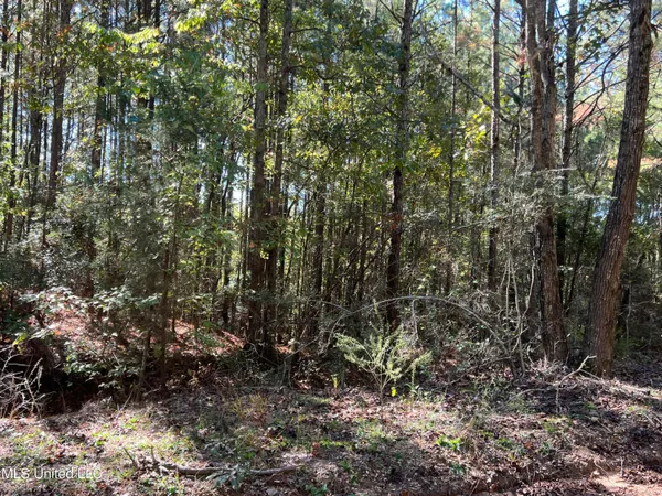 $99,700 | 0 County Road 39, Paulding, MS 39348