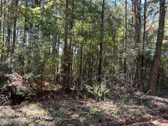 $99,700 | 0 County Road 39, Paulding, MS 39348