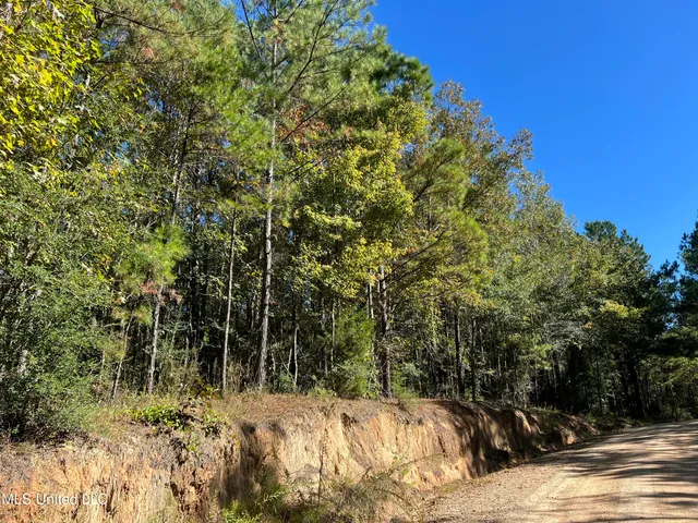 $99,700 | 0 County Road 39, Paulding, MS 39348