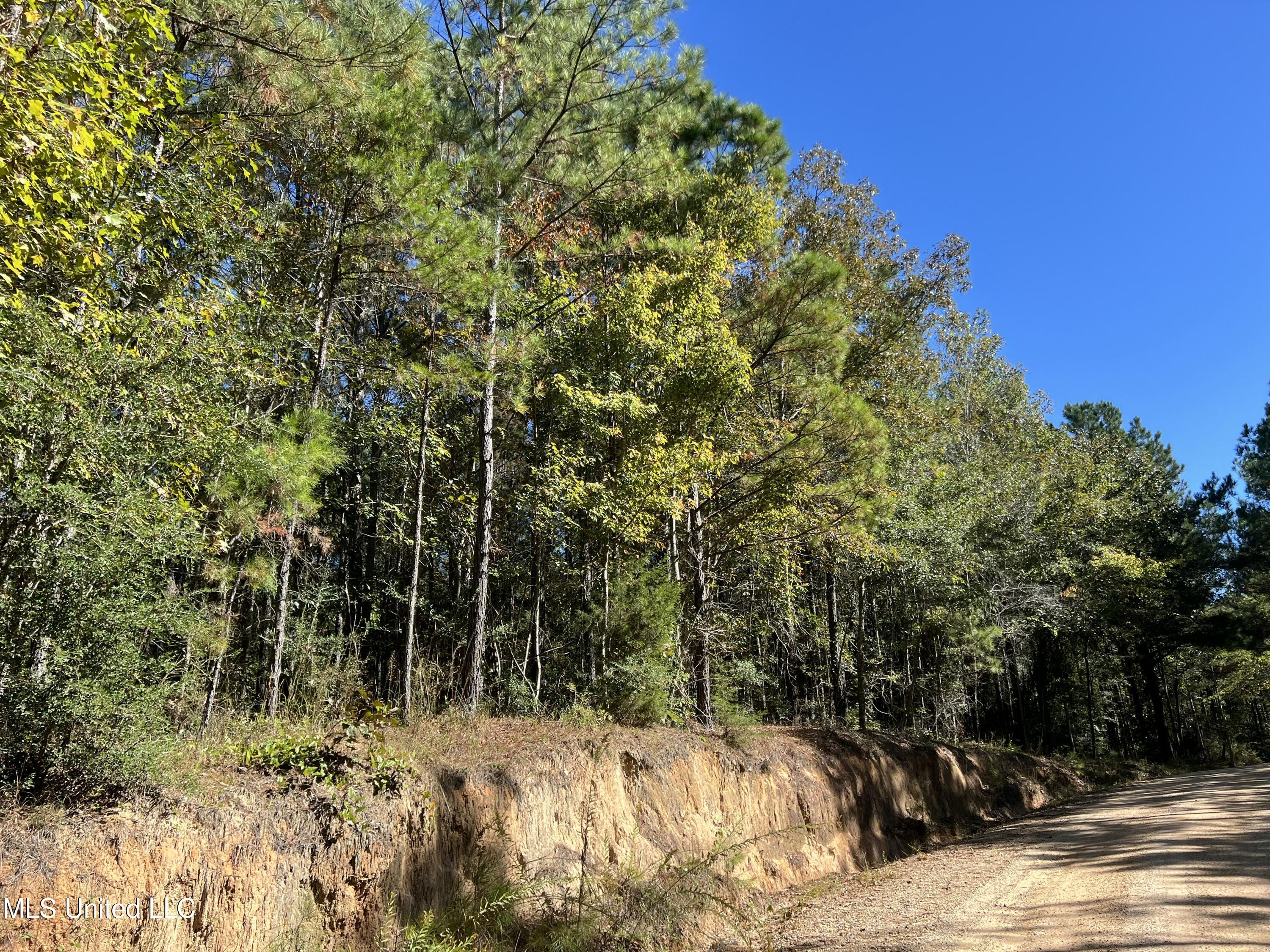 0 County Road 39 Paulding, MS 39348 - Photo 10 of 14 IMG_6228