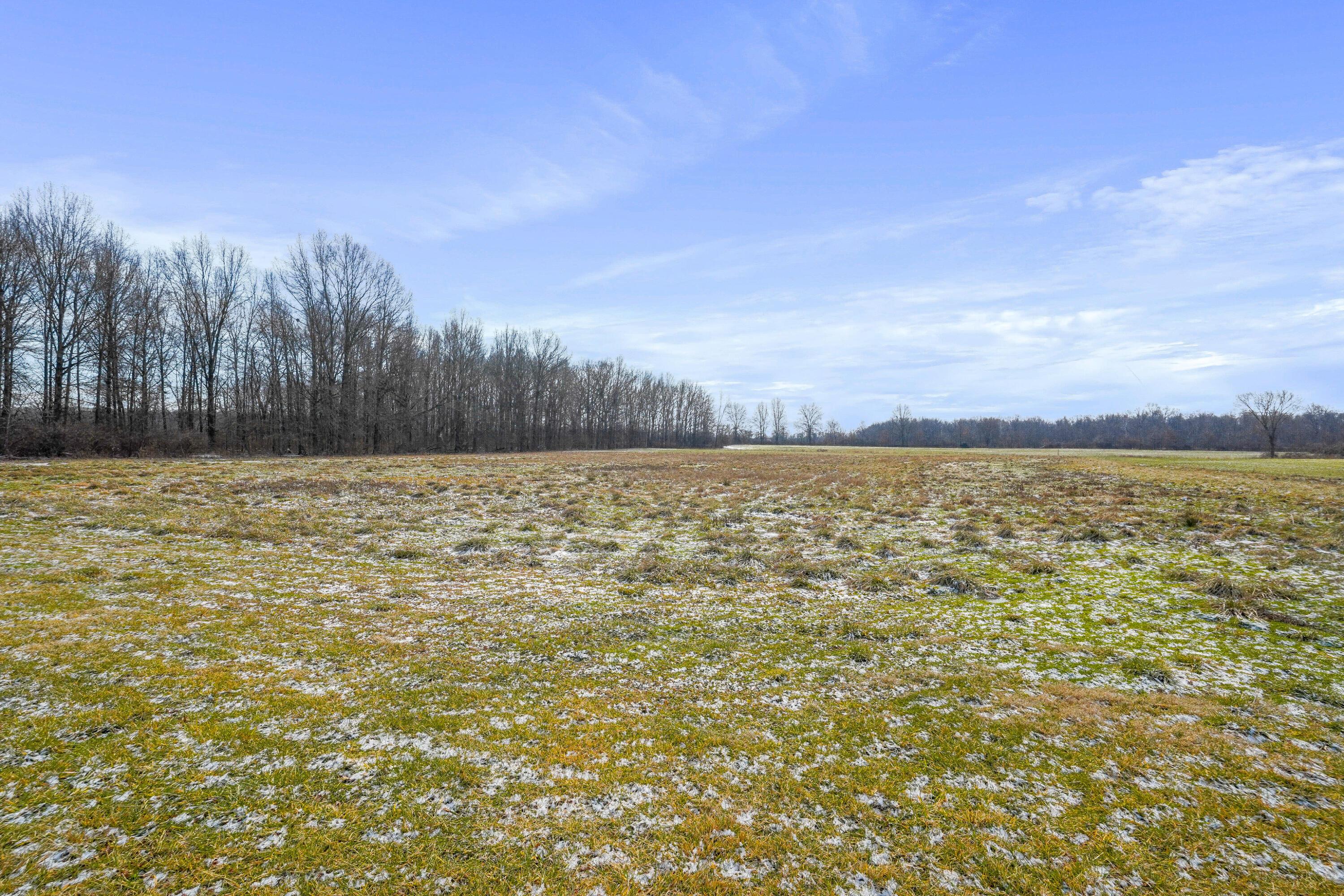 4203 Warrensburg Road Delaware, OH 43015 - Photo 91 of 96 32-print-DSC09614