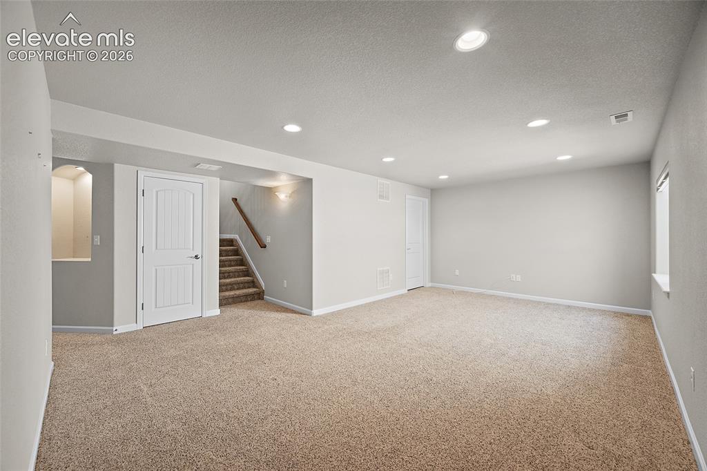 11447 Rill Point Colorado Springs, CO 80921 - Photo 21 of 42 basement living/entertainment