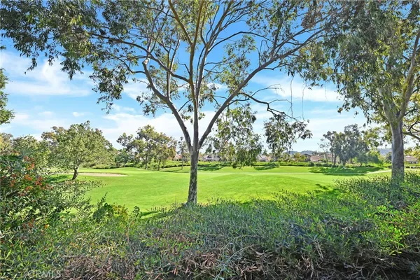 a view of a big yard with an trees