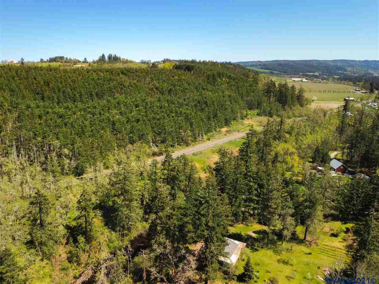 Abiqua (tax 352855) Road Silverton, OR 97381 - Photo 18 of 22