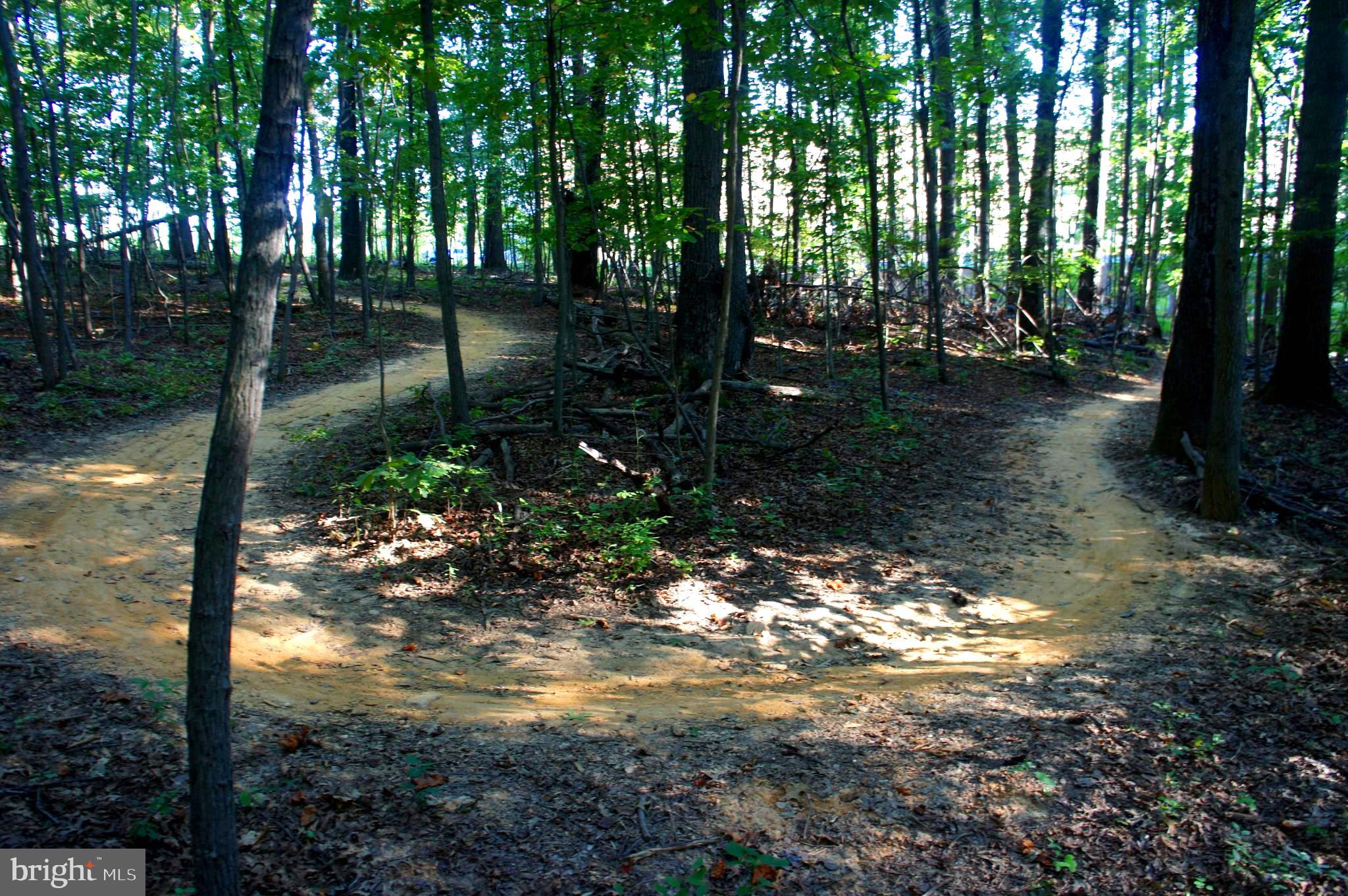11232 Chestnut Grove Square, Unit 334 Reston, VA 20190 - Photo 27 of 31 Lake Fairfax Park Trails (2.5 miles)