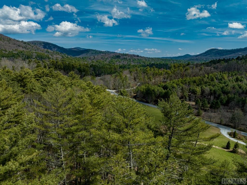 64 E Road Cashiers, NC 28717 - Photo 12 of 24 Gallery Image 12