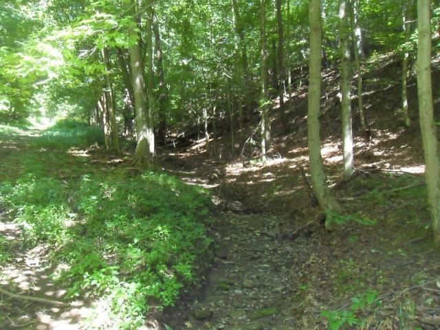 0 Brinkhaven Road Danville, OH 43014 - Photo 1 of 5