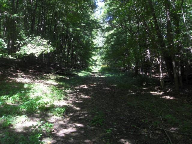 0 Brinkhaven Road Danville, OH 43014 - Photo 2 of 5