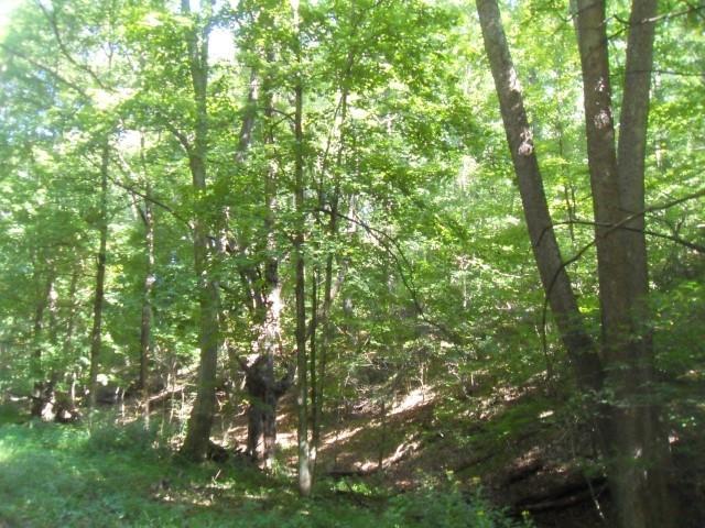 0 Brinkhaven Road Danville, OH 43014 - Photo 3 of 5