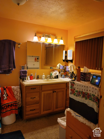 97 East Main Street Stockton, UT 84071 - Photo 47 of 58 Bathroom with vanity and a textured ceiling