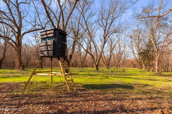 $1,025,750 | 186 Potluck Road, Canton, MS 39046