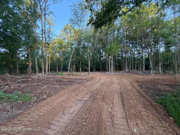 $995,000 | 186 Potluck Road, Canton, MS 39046