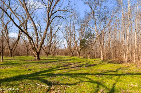 $1,025,750 | 186 Potluck Road, Canton, MS 39046