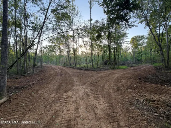 $995,000 | 186 Potluck Road, Canton, MS 39046