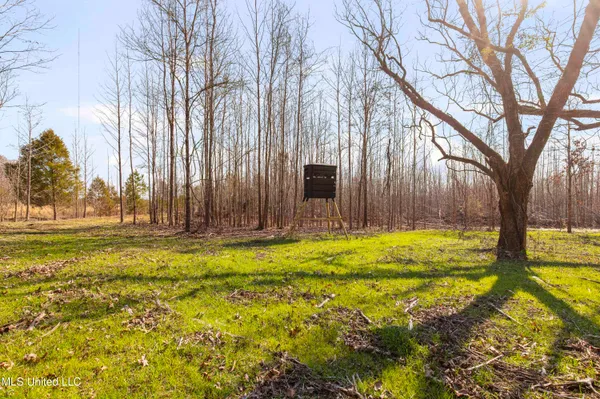 $1,025,750 | 186 Potluck Road, Canton, MS 39046