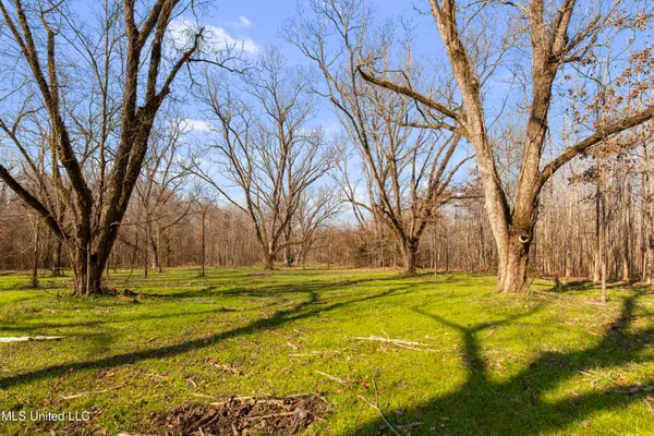 $1,025,750 | 186 Potluck Road, Canton, MS 39046