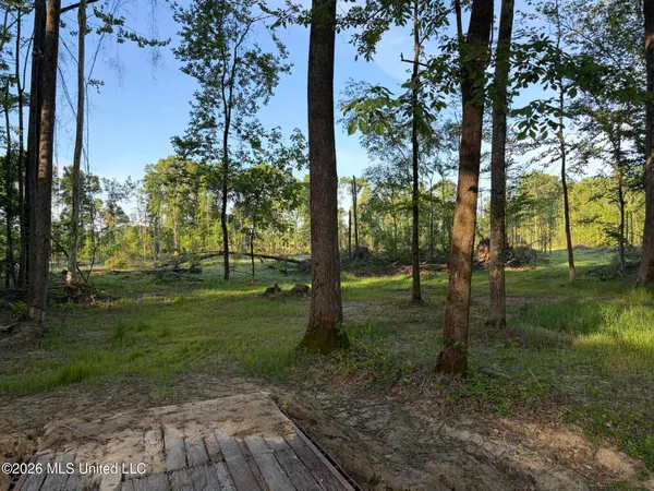 $995,000 | 186 Potluck Road, Canton, MS 39046