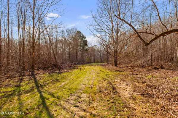 $1,025,750 | 186 Potluck Road, Canton, MS 39046