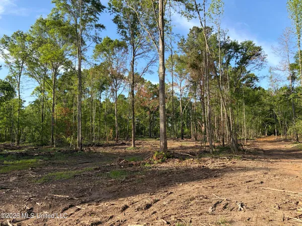 $995,000 | 186 Potluck Road, Canton, MS 39046