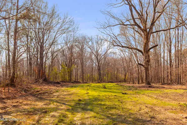 $1,025,750 | 186 Potluck Road, Canton, MS 39046