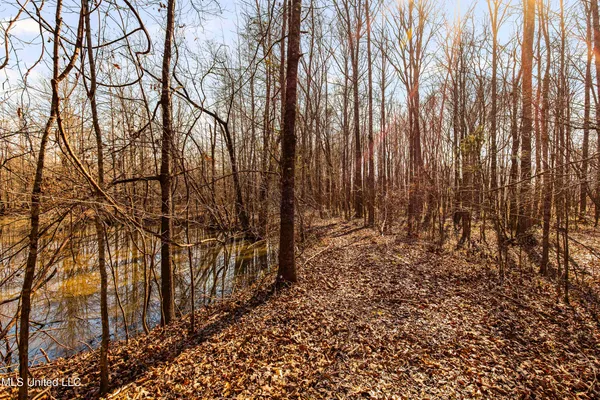 $1,025,750 | 186 Potluck Road, Canton, MS 39046