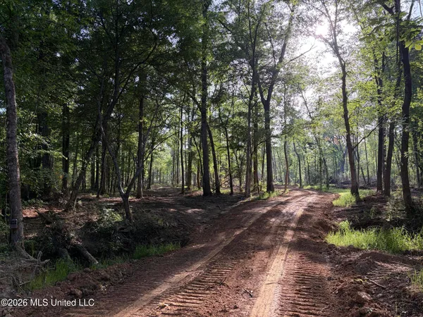 $995,000 | 186 Potluck Road, Canton, MS 39046