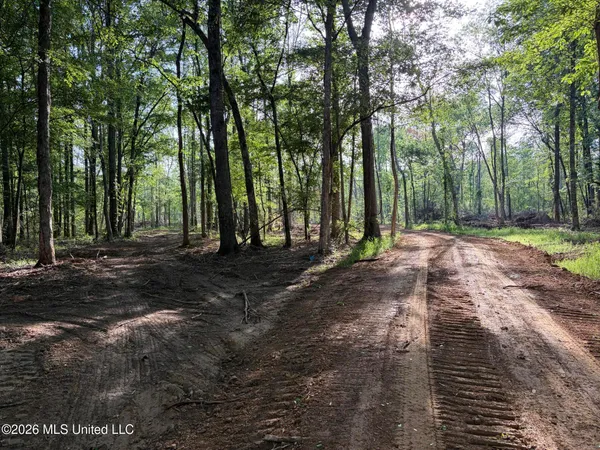 $995,000 | 186 Potluck Road, Canton, MS 39046