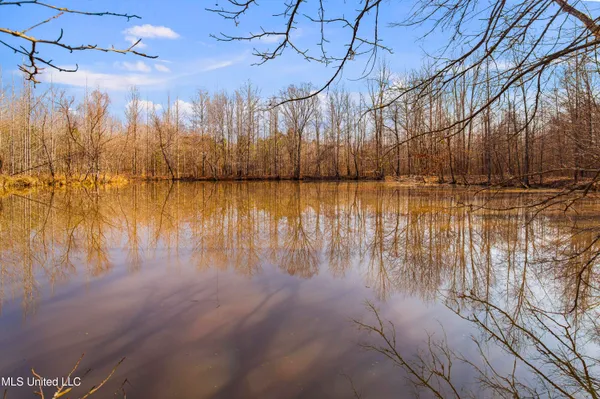 $1,025,750 | 186 Potluck Road, Canton, MS 39046