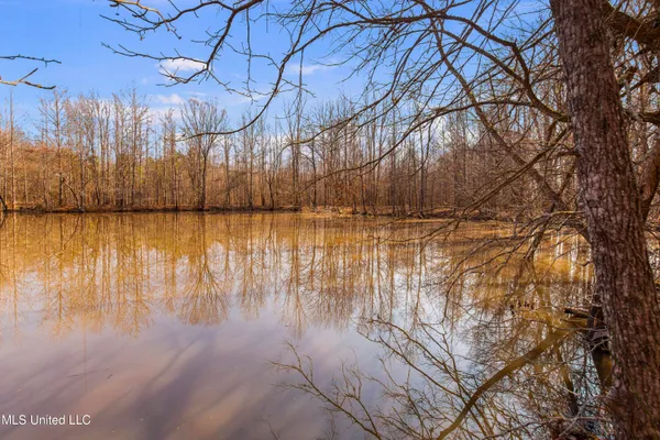 $1,025,750 | 186 Potluck Road, Canton, MS 39046