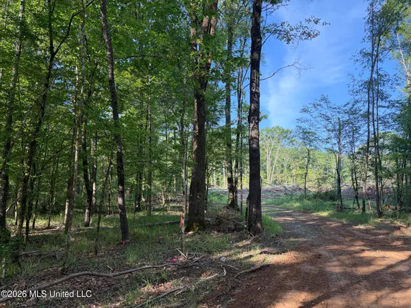 $995,000 | 186 Potluck Road, Canton, MS 39046