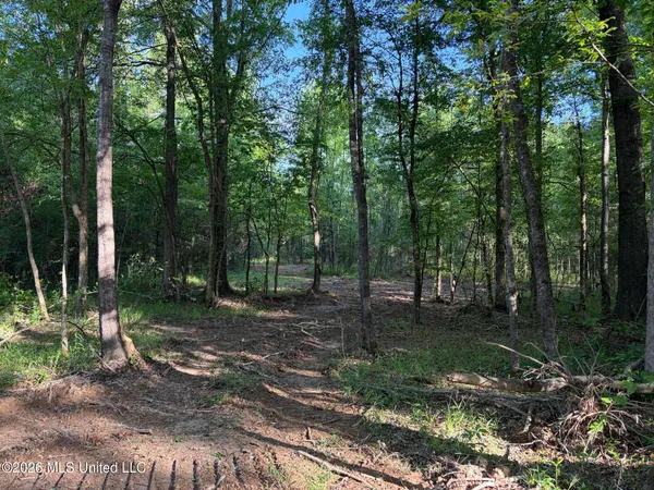 $995,000 | 186 Potluck Road, Canton, MS 39046