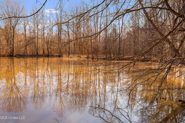 $1,025,750 | 186 Potluck Road, Canton, MS 39046