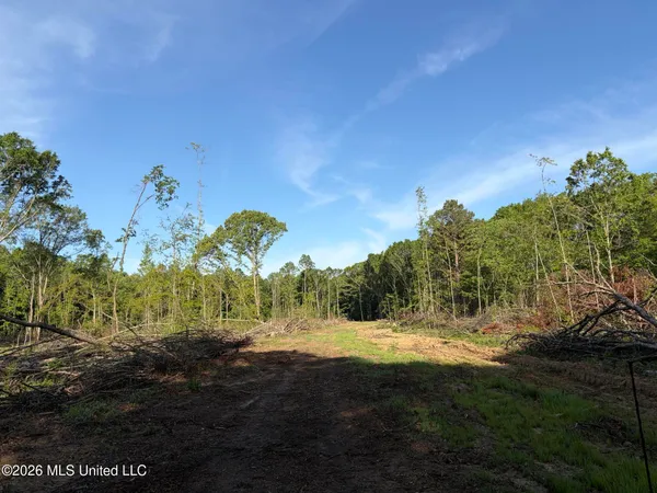 $995,000 | 186 Potluck Road, Canton, MS 39046