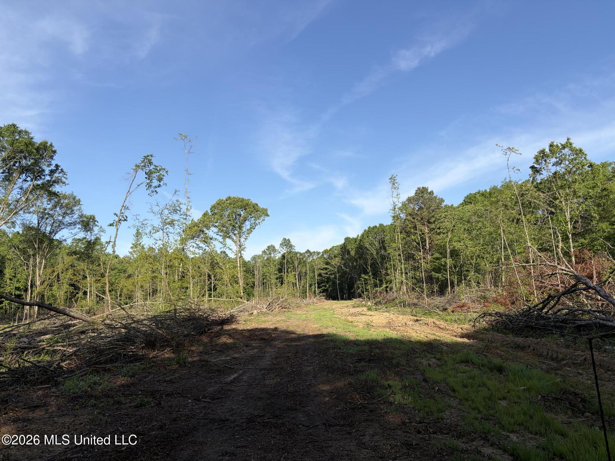 186 Potluck Road Canton, MS 39046 - Photo 22 of 69 IMG_0091