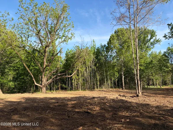 $995,000 | 186 Potluck Road, Canton, MS 39046
