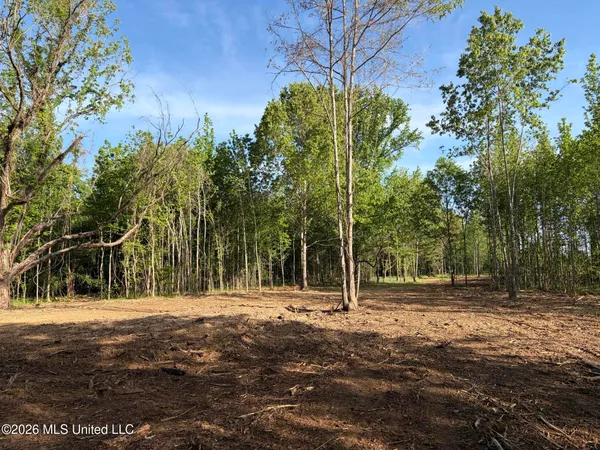 $995,000 | 186 Potluck Road, Canton, MS 39046