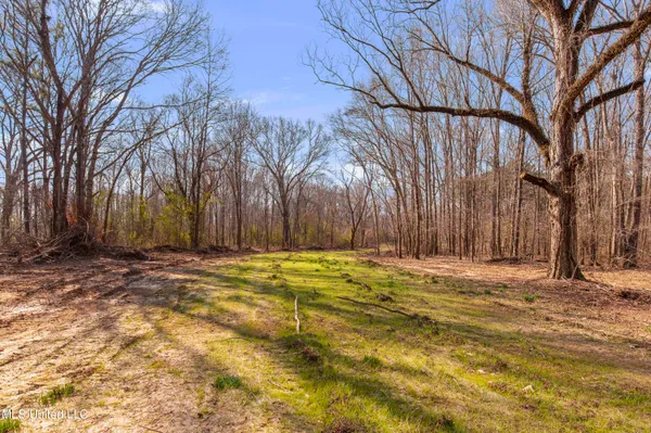 $1,025,750 | 186 Potluck Road, Canton, MS 39046