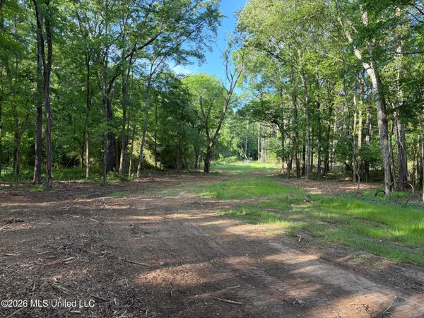 $995,000 | 186 Potluck Road, Canton, MS 39046