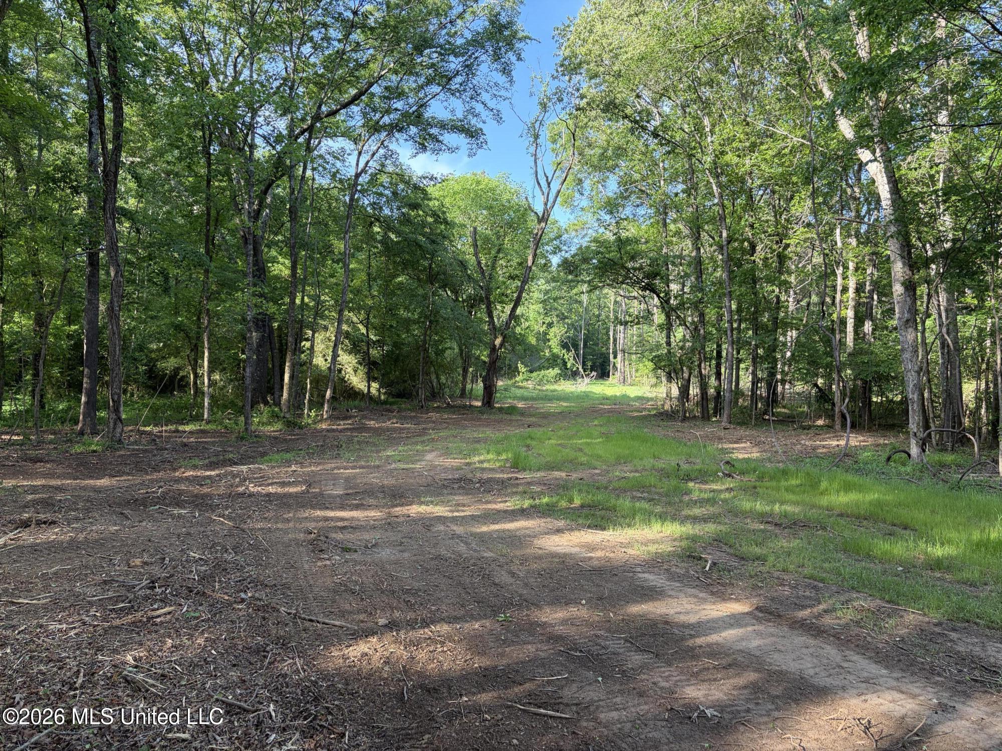 186 Potluck Road Canton, MS 39046 - Photo 25 of 69 IMG_0092