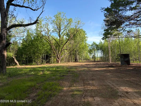 $995,000 | 186 Potluck Road, Canton, MS 39046