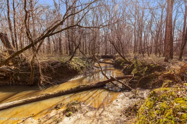 $1,025,750 | 186 Potluck Road, Canton, MS 39046