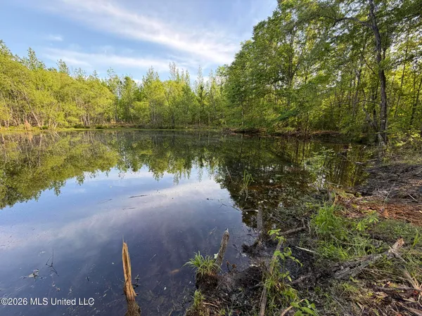 $995,000 | 186 Potluck Road, Canton, MS 39046