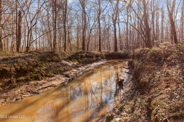 $1,025,750 | 186 Potluck Road, Canton, MS 39046